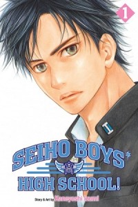 Cover of Seiho Boys High School vol 1