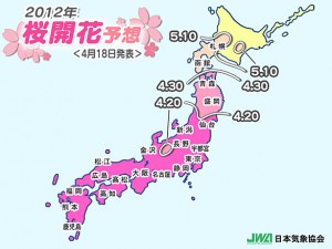 Hanami Front