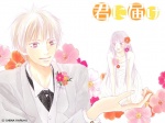 07 Kimi ni Todoki 1024 X 768