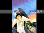 07 Black Bird 1024 X 768