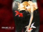 08 Black Bird 1024 X 768