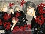 10 Black Bird 1024 X 768