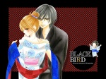 01 Black Bird  1024 X 768
