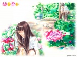 01 Kimi ni Todoki 1024 X 768