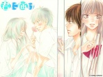 03 Kimi ni Todoki 1024 X 768