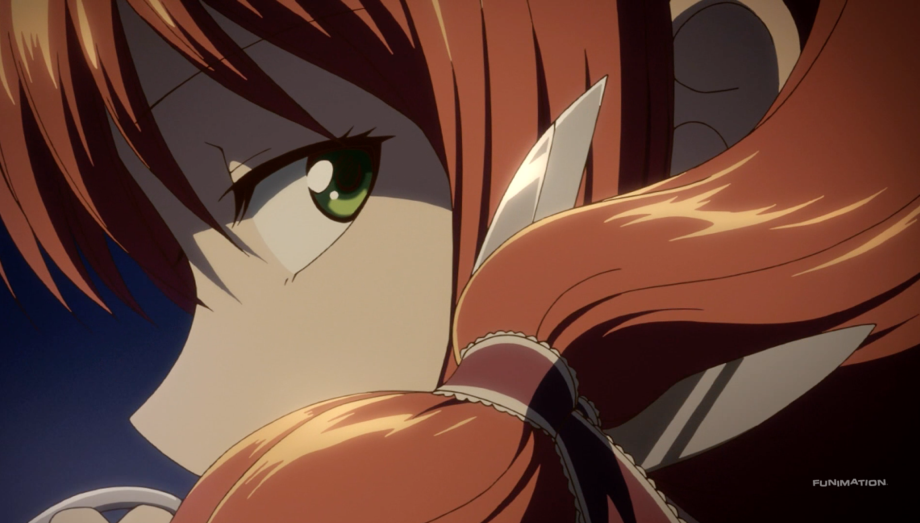 Anime Review: Snow White With the Red Hair | Heart of Manga
